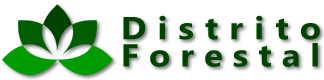 Distrito Forestal